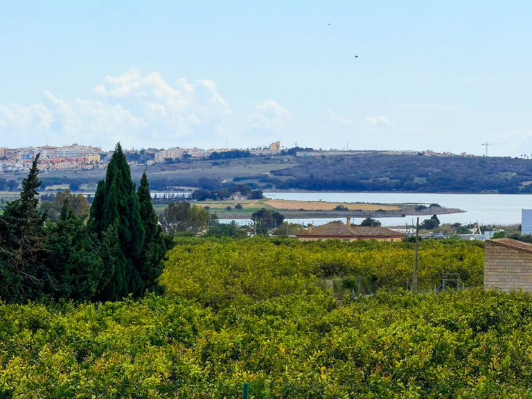 Country House for Sale in Guardamar, Guardamar Del Segura, Alicante 18