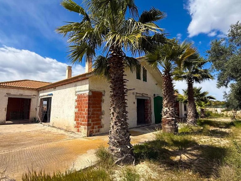 Country House for Sale in Guardamar, Guardamar Del Segura, Alicante 4