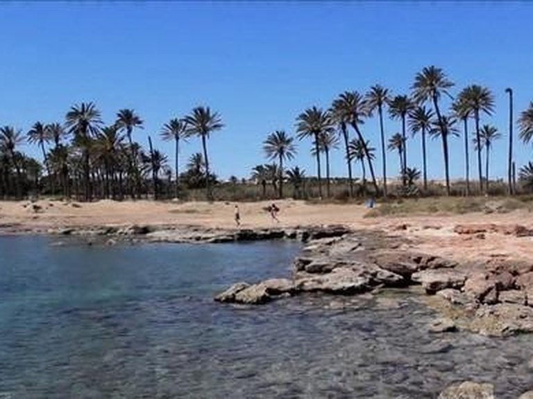 Penthouse for Sale in La veleta, Torrevieja, Alicante 39