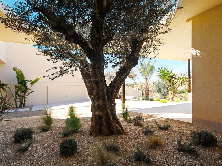 Villa for Sale in LA MARINA, Elche, Alicante 24