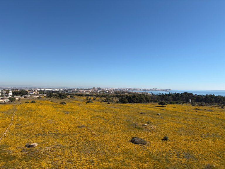 Penthouse for Sale in Punta Prima, Torrevieja, Alicante 33