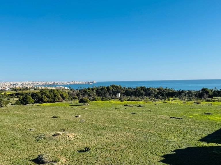 Penthouse for Sale in Punta Prima, Torrevieja, Alicante 34