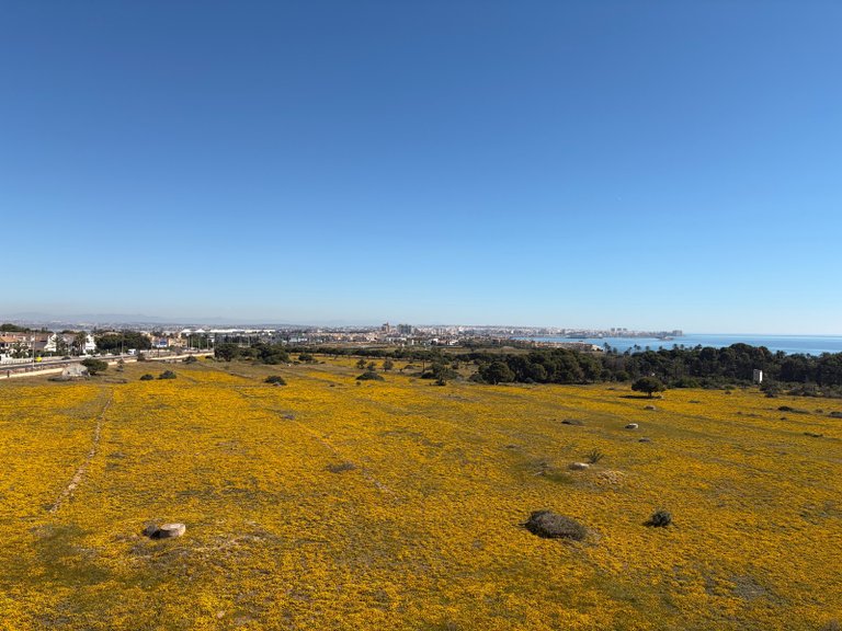 Penthouse for Sale in Punta Prima, Torrevieja, Alicante 32