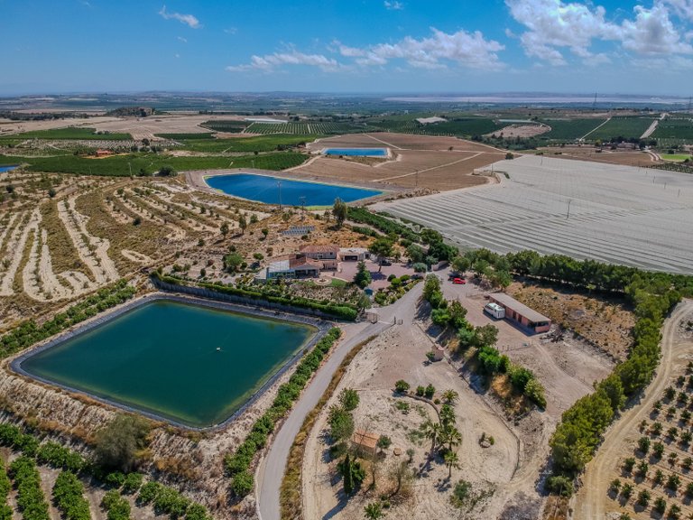 Country House for Sale in Torremendo, San Miguel De Salinas, Alicante 42