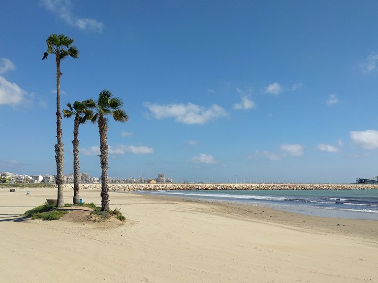 Villa for Sale in Torreta - Florida, Torrevieja, Alicante 37