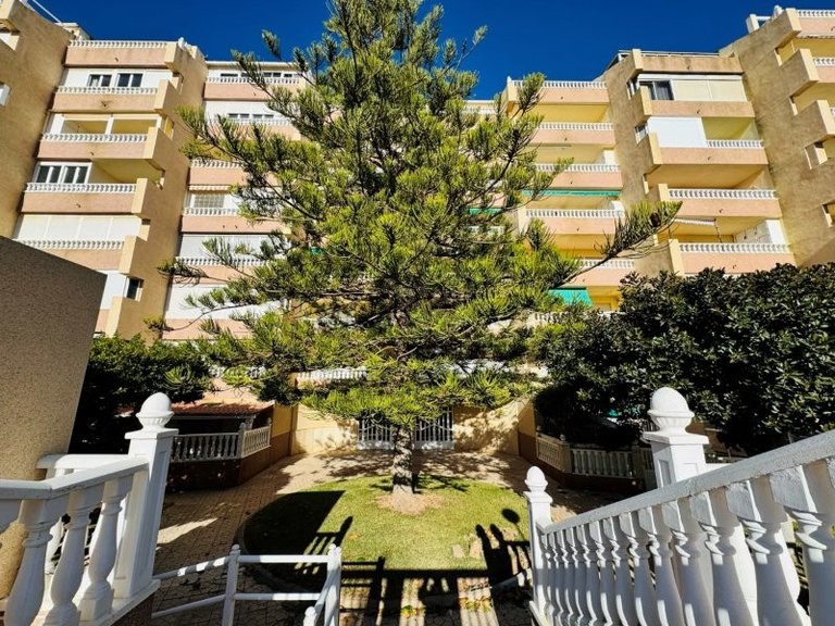 Penthouse for Sale in La Mata, Alicante 44