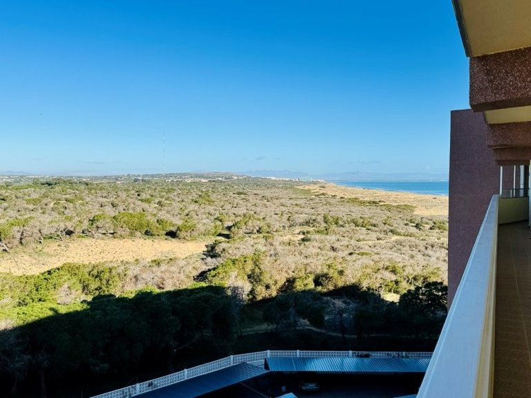 Penthouse for Sale in La Mata, Alicante 11