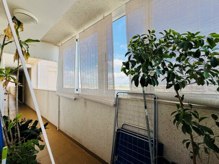Apartment for Sale in Torrevieja, Alicante 16
