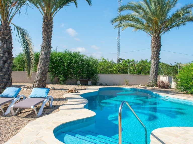 Villa for Sale in Guardamar Del Segura, Alicante 5
