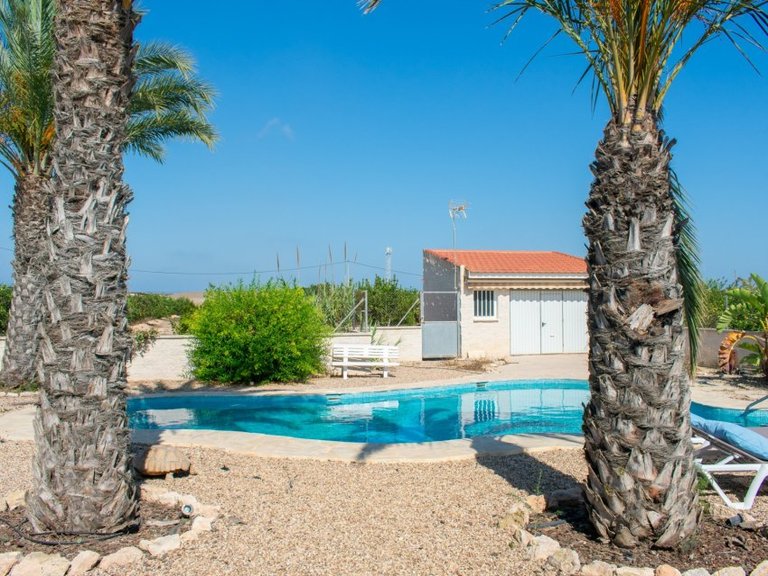 Villa for Sale in Guardamar Del Segura, Alicante 12