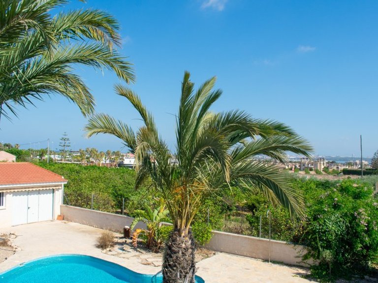 Villa for Sale in Guardamar Del Segura, Alicante 32
