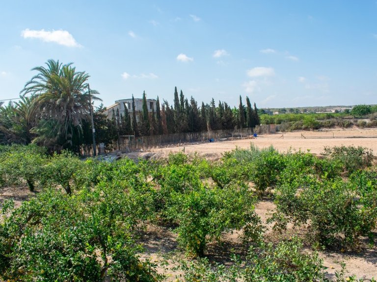 Villa for Sale in Guardamar Del Segura, Alicante 34