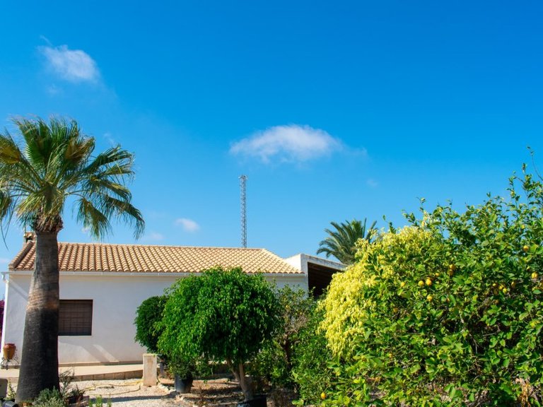 Villa for Sale in Guardamar Del Segura, Alicante 44