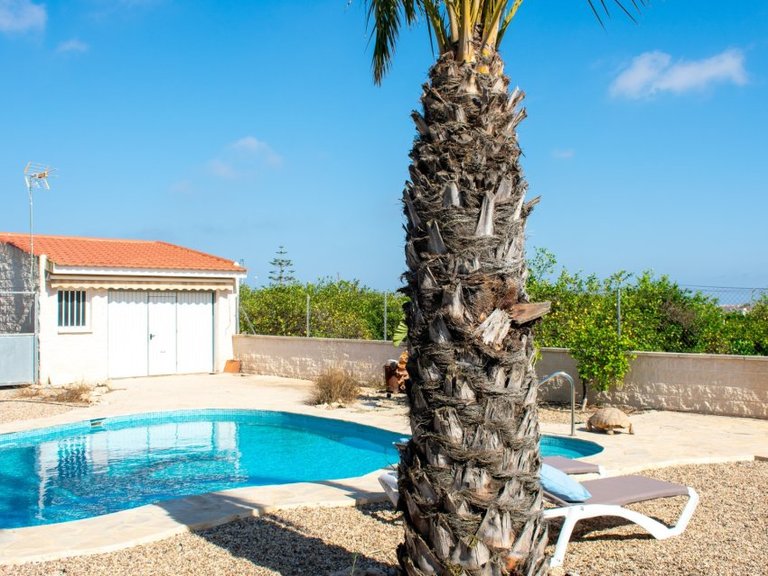 Villa for Sale in Guardamar Del Segura, Alicante 49