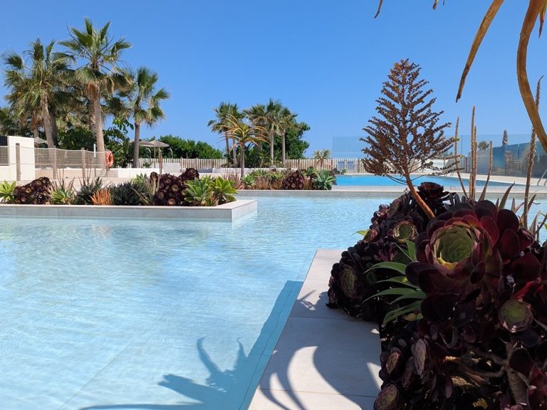 Apartment for Sale in Denia, Alicante 14