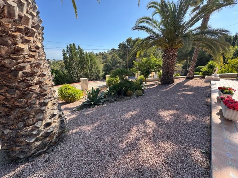 Villa for Sale in Algorfa, Alicante 23