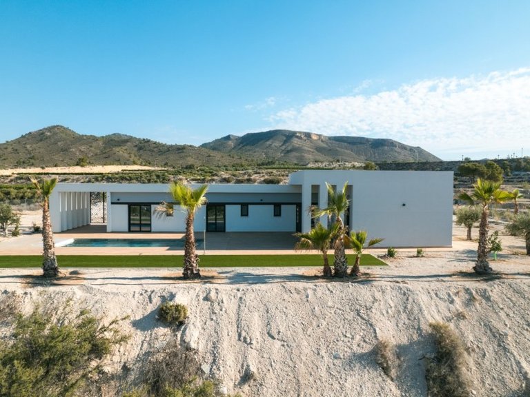 Villa for Sale in Pinoso, Alicante 3