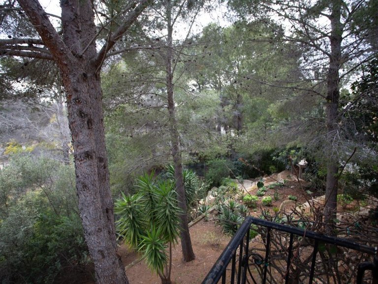 Villa for Sale in Jávea / Xàbia, Alicante 36
