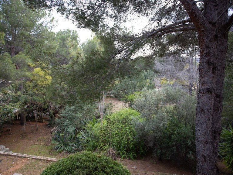 Villa for Sale in Jávea / Xàbia, Alicante 37