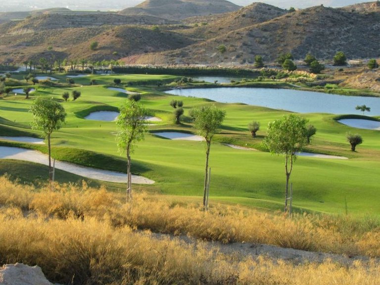 Villa for Sale in Monforte Del Cid, Alicante 15