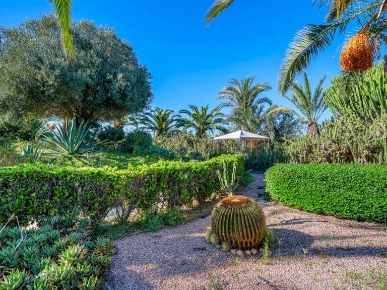 Country House for Sale in Los Montesinos, Alicante 43