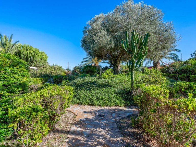 Country House for Sale in Los Montesinos, Alicante 44