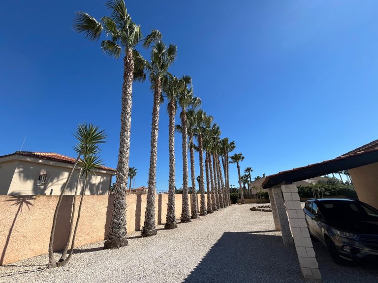 Villa for Sale in Catral, Alicante 49