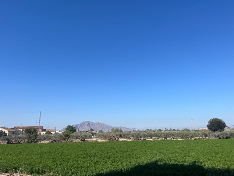 Town House for Sale in Catral, Alicante 43