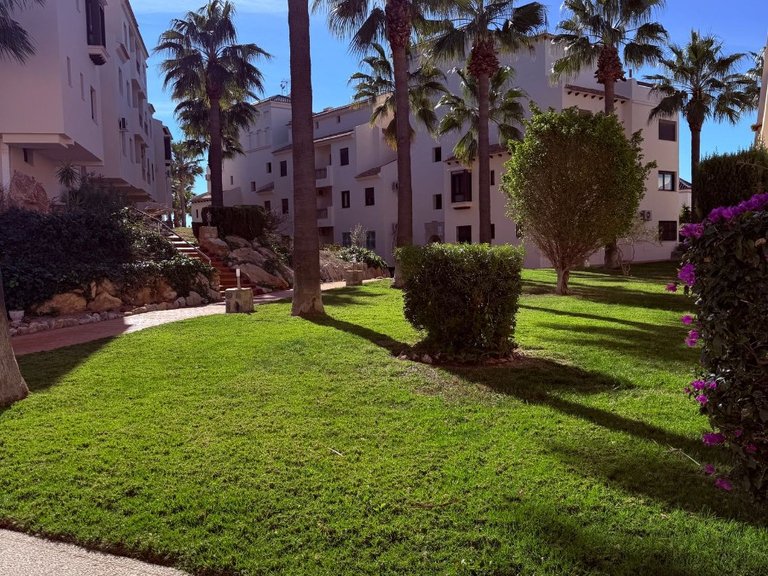 Penthouse for Sale in Inland Las Ramblas Golf, Alicante 8