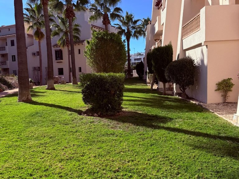 Penthouse for Sale in Inland Las Ramblas Golf, Alicante 7