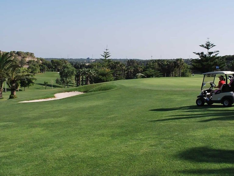 Villa for Sale in Inland Los Dolses, Alicante 25
