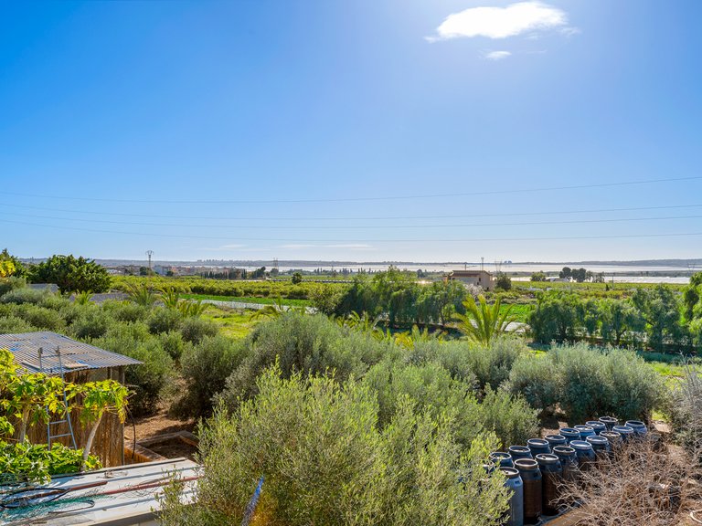 Country House for Sale in Los Montesinos, Alicante 24