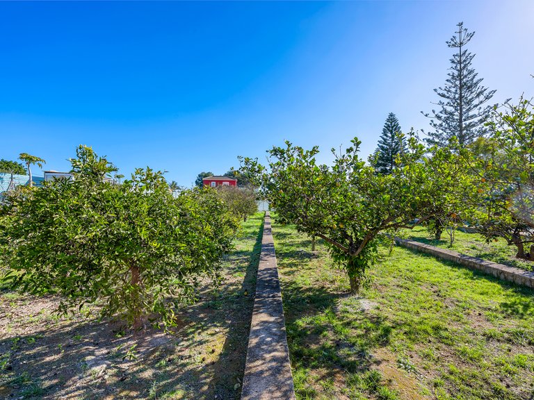 Country House for Sale in Los Montesinos, Alicante 25