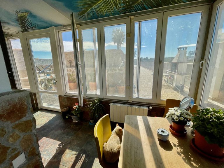 Villa for Sale in Guardamar Del Segura, Alicante 9