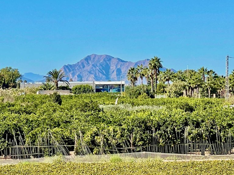 Villa for Sale in Guardamar Del Segura, Alicante 33