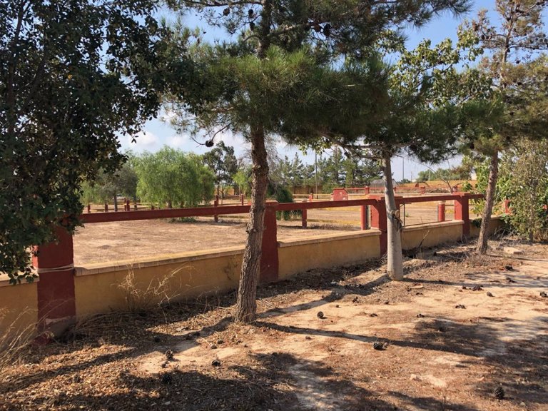 Country House for Sale in Los Montesinos, Alicante 42