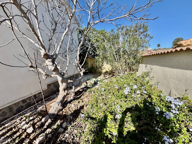 Villa for Sale in Lo Pepin, Ciudad Quesada, Alicante 32