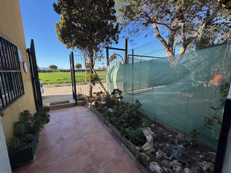 Country House for Sale in Guardamar Del Segura, Alicante 22