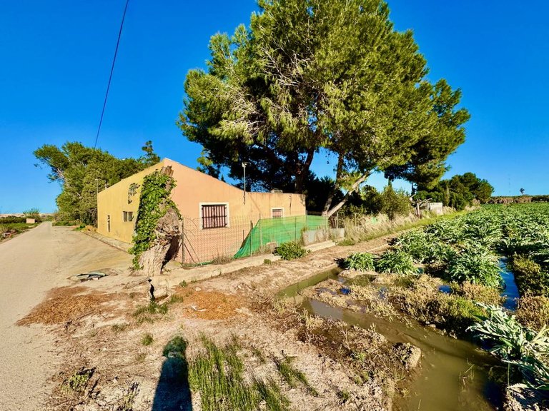Country House for Sale in Guardamar Del Segura, Alicante 1