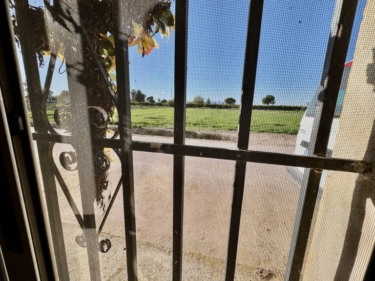 Country House for Sale in Guardamar Del Segura, Alicante 12