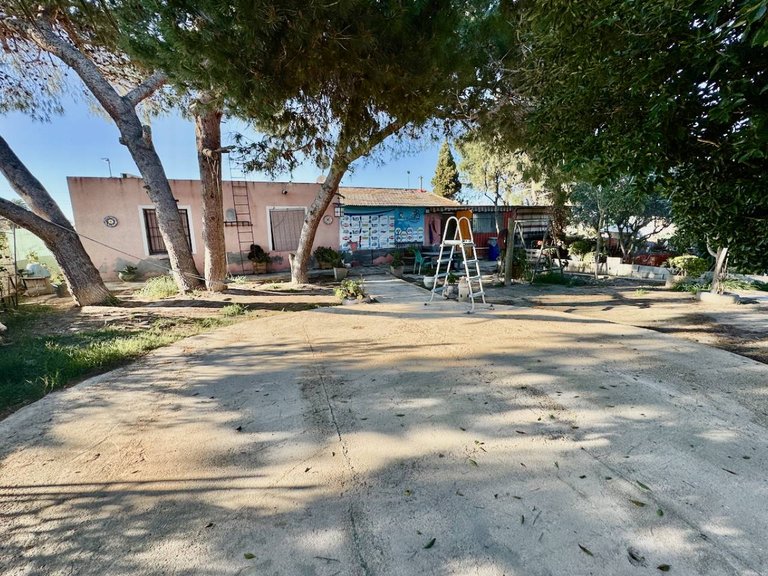 Country House for Sale in Guardamar Del Segura, Alicante 25