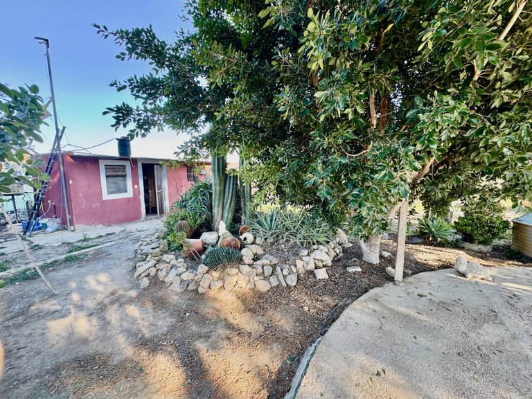 Country House for Sale in Guardamar Del Segura, Alicante 26