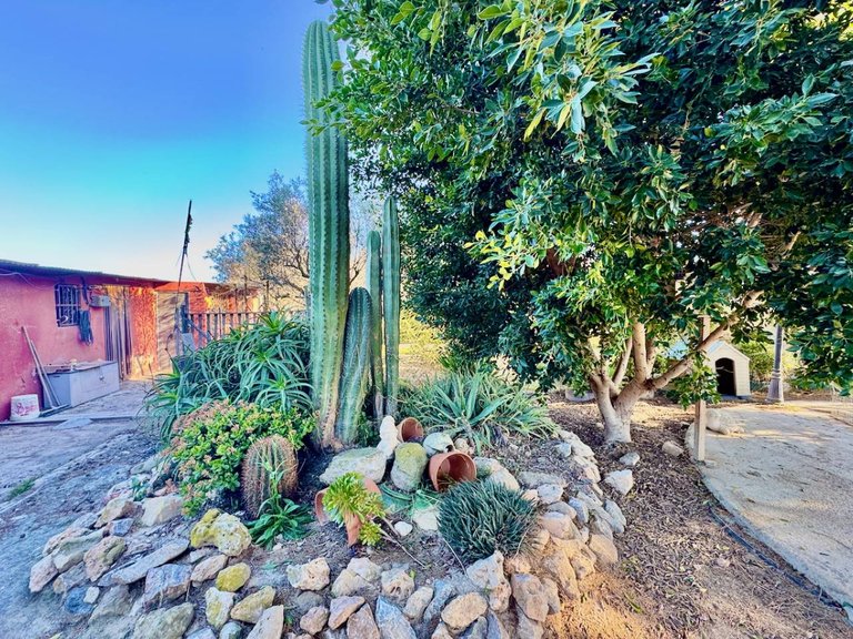 Country House for Sale in Guardamar Del Segura, Alicante 27