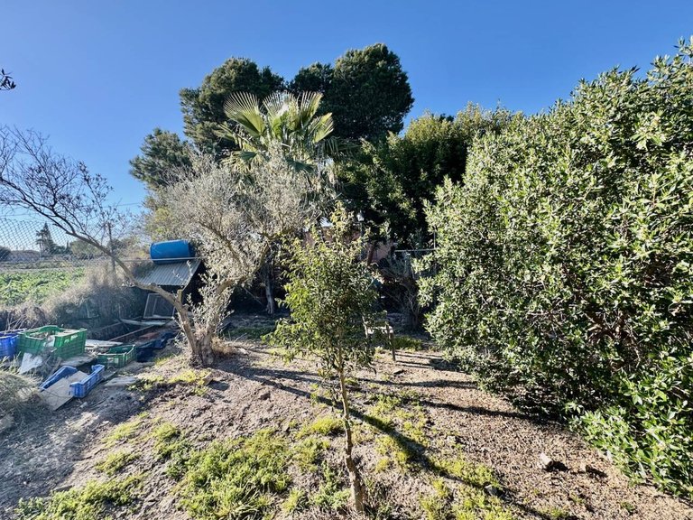 Country House for Sale in Guardamar Del Segura, Alicante 30