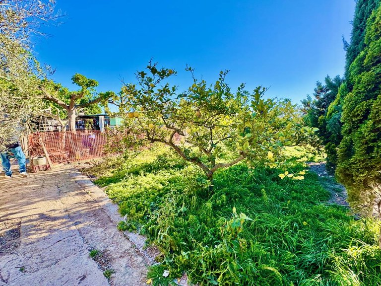 Country House for Sale in Guardamar Del Segura, Alicante 31