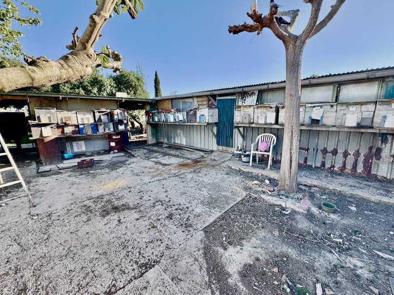 Country House for Sale in Guardamar Del Segura, Alicante 32
