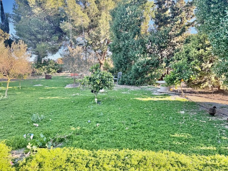 Country House for Sale in Guardamar Del Segura, Alicante 36