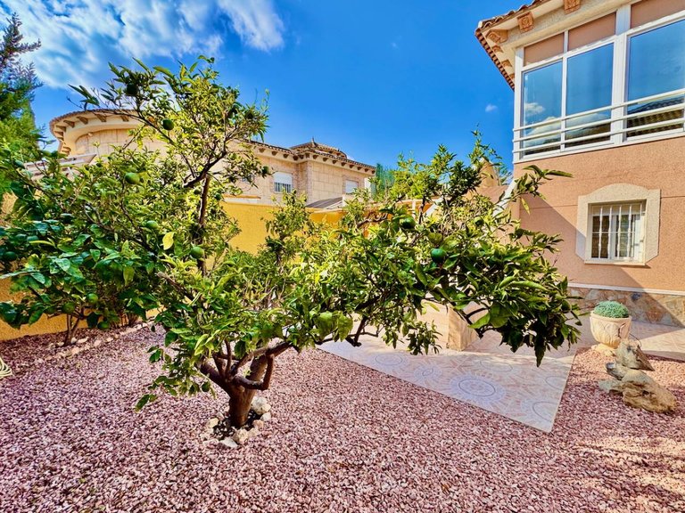 Villa for Sale in Benferri, Alicante 28