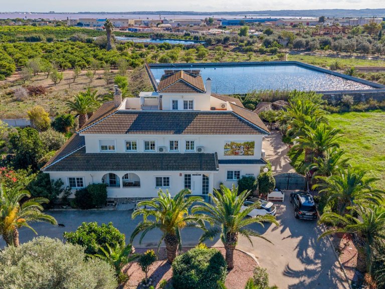Country House for Sale in Los Montesinos, Alicante 1