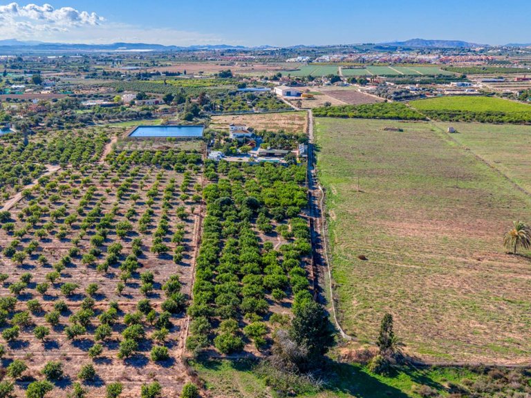 Country House for Sale in Los Montesinos, Alicante 41